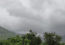 IMD Weather Update: राजस्थान में बना लो-प्रेशर सिस्टम, गुजरात में अति भारी बारिश का अलर्ट; कई राज्यों में 30 जुलाई तक बरसेंगे बादल