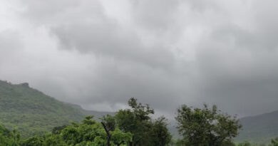 IMD Weather Update: राजस्थान में बना लो-प्रेशर सिस्टम, गुजरात में अति भारी बारिश का अलर्ट; कई राज्यों में 30 जुलाई तक बरसेंगे बादल