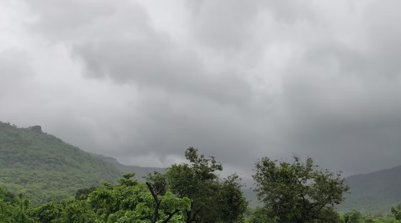 IMD Weather Update: राजस्थान में बना लो-प्रेशर सिस्टम, गुजरात में अति भारी बारिश का अलर्ट; कई राज्यों में 30 जुलाई तक बरसेंगे बादल