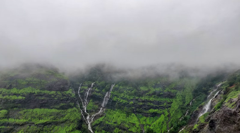 आज का मौसम: देशभर में मानसून का असर तेज, MP, महाराष्ट्र-गुजरात और तेलंगाना में अति भारी बारिश का अलर्ट; IMD ने जारी की चेतावनी