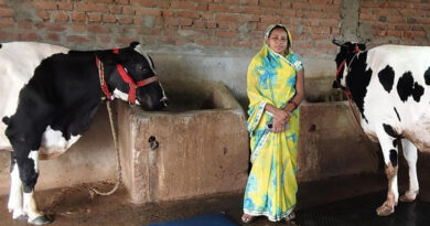 वैज्ञानिक तकनीक का कमाल! 5 दुधारू गायों से हर महीने 25 हजार रुपये कमा रहीं प्रेम कुमारी, जानिए कैसे  