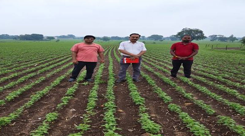 सोयाबीन की बुवाई से लेकर जल निकास तक, कृषि विज्ञान केंद्र ने किसानों को दिए अहम सुझाव
