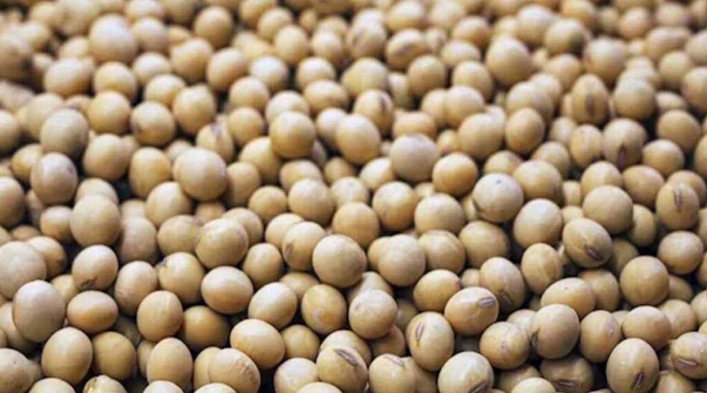 आज का सोयाबीन मंडी रेट (06 जुलाई 2026)