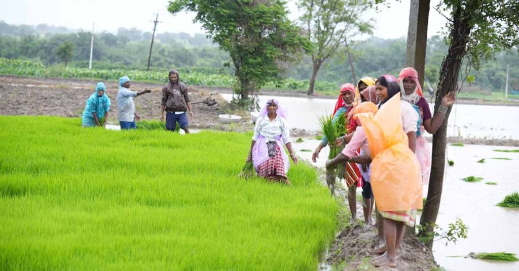सतत कृषि विकास में महिलाओं की भूमिका पर राष्ट्रीय मंथन, पूसा सम्मेलन में जारी हुआ भविष्य का रोडमैप