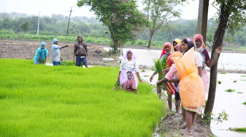 सतत कृषि विकास में महिलाओं की भूमिका पर राष्ट्रीय मंथन, पूसा सम्मेलन में जारी हुआ भविष्य का रोडमैप