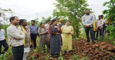 आधुनिक खेती से बदली किसान की तकदीर, 13 एकड़ में सब्जी उगाकर सालाना हो रही 10-12 लाख की कमाई
