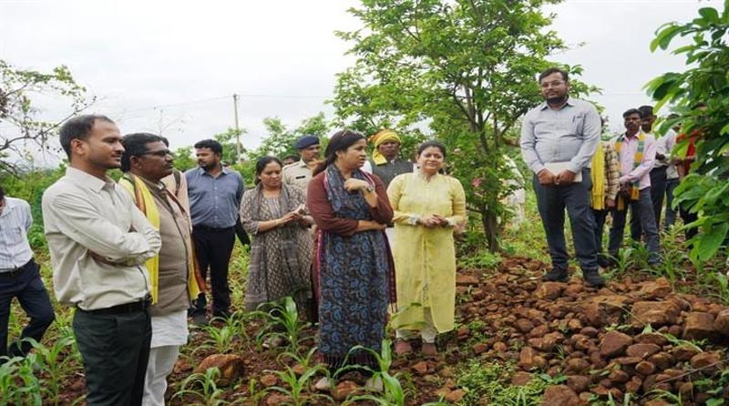 आधुनिक खेती से बदली किसान की तकदीर, 13 एकड़ में सब्जी उगाकर सालाना हो रही 10-12 लाख की कमाई
