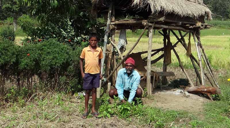 छिंदवाड़ा: एग्रीस्टेक आईडी बनवाना अनिवार्य