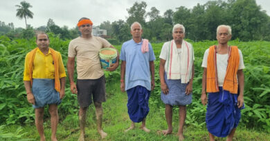 रायगढ़ का 'जवांफूल' धान बना किसानों की कमाई का जरिया, ₹180 किलो तक बिक रहा सुगंधित चावल