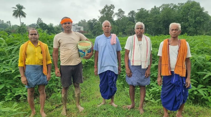 रायगढ़ का 'जवांफूल' धान बना किसानों की कमाई का जरिया, ₹180 किलो तक बिक रहा सुगंधित चावल