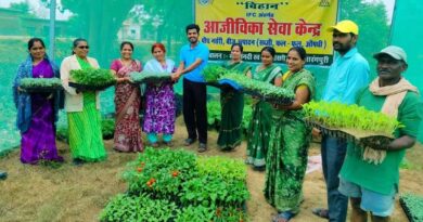 रायपुर: किसानों के लिए वरदान बनी धमतरी की आईएफसी नर्सरी, अब गांव में ही मिल रहे गुणवत्तापूर्ण पौधे  