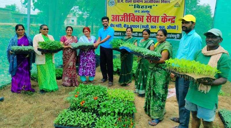 रायपुर: किसानों के लिए वरदान बनी धमतरी की आईएफसी नर्सरी, अब गांव में ही मिल रहे गुणवत्तापूर्ण पौधे