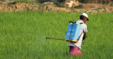 पैराक्वाट और कार्बोसल्फान पर लग सकता है प्रतिबंध, सरकार के अंतिम फैसले का इंतजार