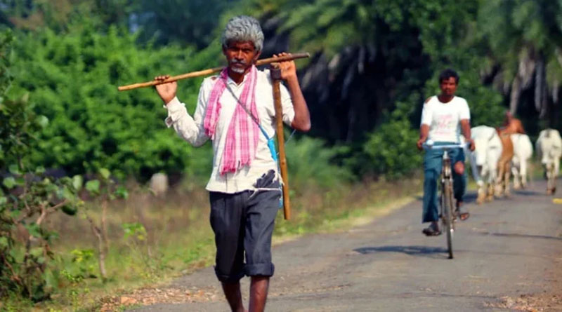 सीधी में कृषि धन-धान्य योजना की समीक्षा बैठक संपन्न