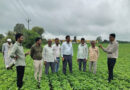 ICAR वैज्ञानिकों ने सोयाबीन फसल का किया निरीक्षण, एल-नीनो के बीच किसानों को दिए बचाव के उपाय