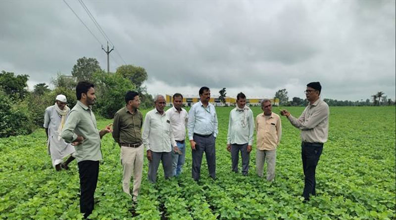 ICAR वैज्ञानिकों ने सोयाबीन फसल का किया निरीक्षण, एल-नीनो के बीच किसानों को दिए बचाव के उपाय