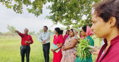 छत्तीसगढ़ की महिलाएं लिख रहीं सफलता की नई कहानी, औषधीय खेती से बन रहीं 'लखपति दीदी'