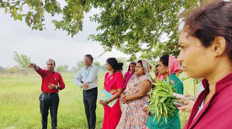 छत्तीसगढ़ की महिलाएं लिख रहीं सफलता की नई कहानी, औषधीय खेती से बन रहीं 'लखपति दीदी'