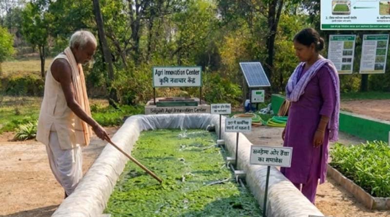 किसानों के लिए फायदे की खेती: हरी खाद अपनाएं, लागत होगी कम और 20% तक बढ़ सकता है उत्पादन