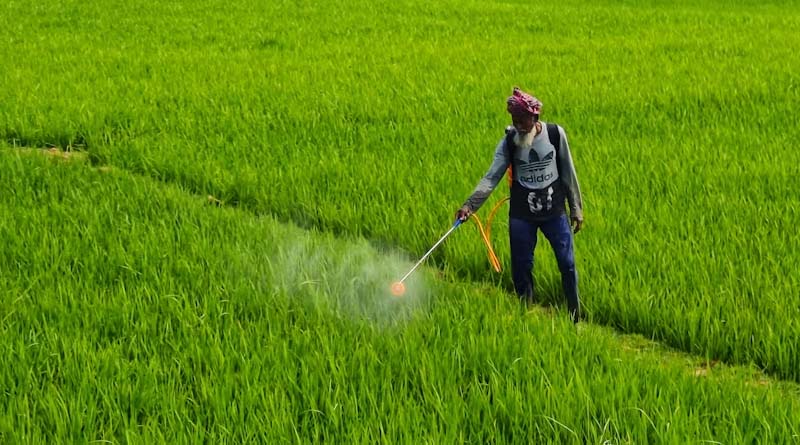 474वीं पंजीकरण समिति बैठक में 3 नए कृषि-रसायन फॉर्मुलेशन को मंजूरी