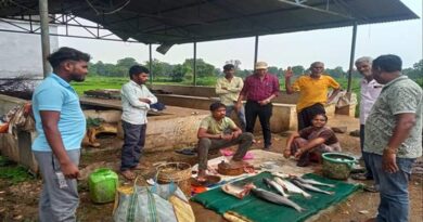 बालाघाट: 86 किलो मेजर कार्प मछली जब्त