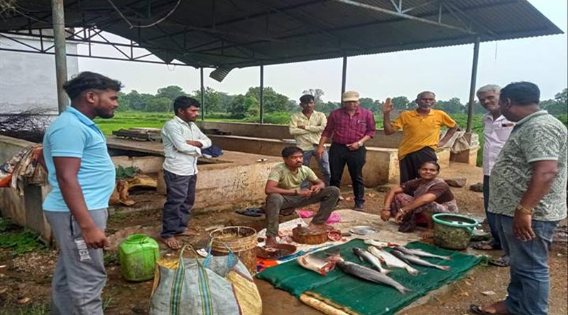बालाघाट: 86 किलो मेजर कार्प मछली जब्त