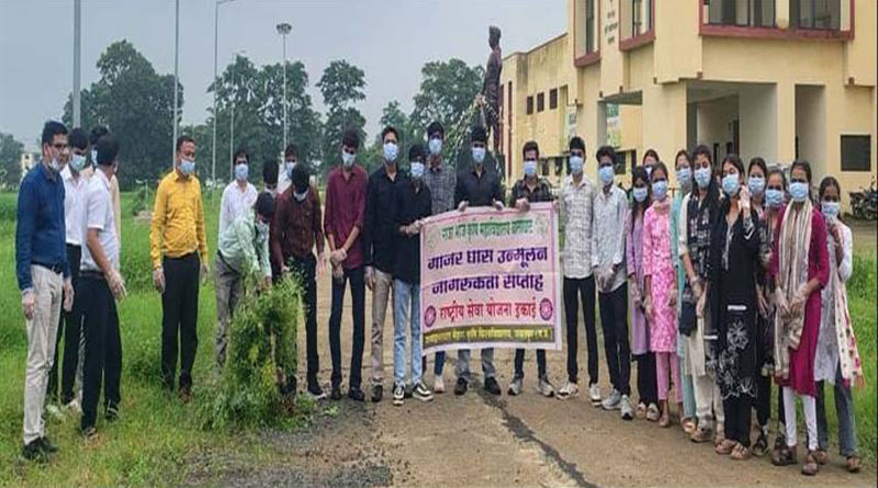 बालाघाट : कृषि महाविद्यालय में गाजर घास उन्मूलन एवं जन जागरूकता अभियान आयोजित