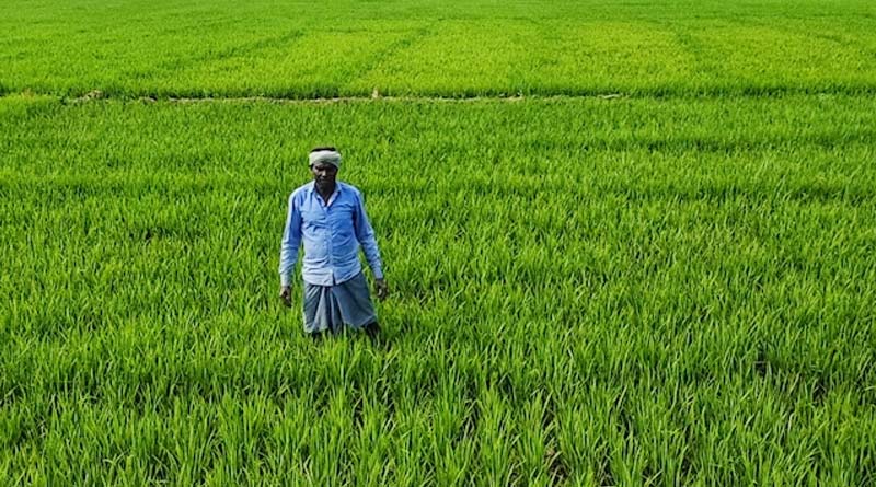 ‘कवच योजना' - किसानों के हित में राज्य सरकार की बड़ी पहल