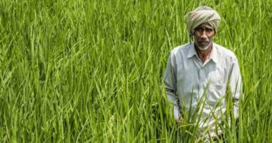 राजस्थान कृषि विभाग भर्ती: 771 अभ्यर्थियों के दस्तावेज सत्यापन का शेड्यूल जारी, 2 सितंबर से प्रक्रिया होगी शुरू