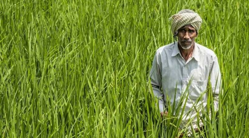 राजस्थान कृषि विभाग भर्ती: 771 अभ्यर्थियों के दस्तावेज सत्यापन का शेड्यूल जारी, 2 सितंबर से प्रक्रिया होगी शुरू