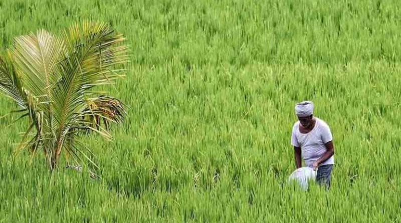 राजस्थान में 87.44 लाख किसानों की रजिस्ट्री पूरी, अब सरकारी योजनाओं में किसान ID होगी अनिवार्य
