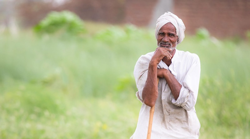 10 साल बाद बदला MP की मंडियों का वर्गीकरण, 54 मंडियां पहुंचीं बेहतर ग्रेड में; D ग्रेड की संख्या 122 से घटकर 68 हुई