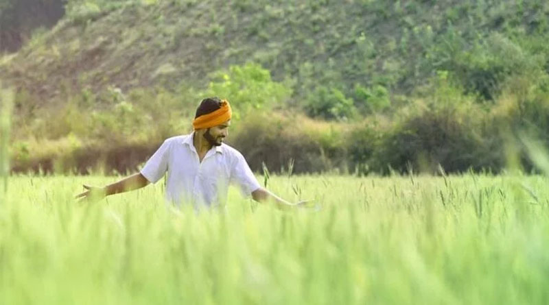 कीटों से फसल बचाने के लिए बिहार सरकार की नई पहल, किसानों को ट्रैप पर मिलेगा 75% तक अनुदान