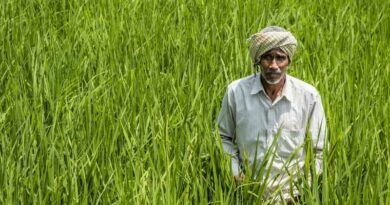 किसानों के लिए सम्मान और पुरस्कार का मौका, 31 अगस्त तक करें आवेदन; मिलेगा ₹25 हजार तक इनाम  