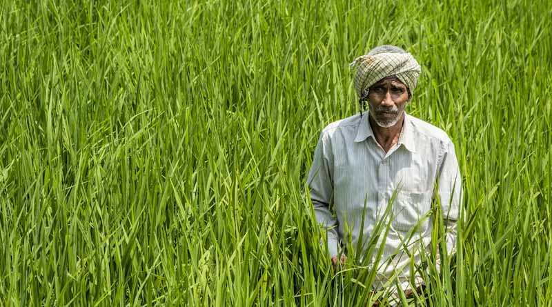 किसानों के लिए सम्मान और पुरस्कार का मौका, 31 अगस्त तक करें आवेदन; मिलेगा ₹25 हजार तक इनाम
