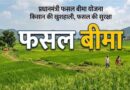 राजस्थान में फसल बीमा योजना की नई निविदा लागू, किसानों का प्रीमियम घटा; दावा होगा अधिक पारदर्शी