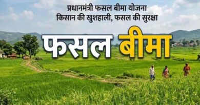 राजस्थान में फसल बीमा योजना की नई निविदा लागू, किसानों का प्रीमियम घटा; दावा होगा अधिक पारदर्शी