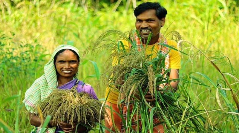 आगर मालवा: एग्रीस्टैक, पैक्स सदस्यता एवं अग्रिम उर्वरक उठाव अभियान 20 अगस्त से 15 सितंबर तक