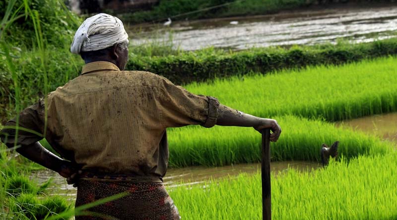 मोहगांव जलाशय प्रभावितों  को जबलपुर उच्च न्यायालय से मिला इंसाफ