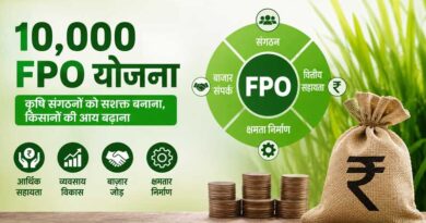 10,000 FPO योजना से किसानों को मिल रहा सामूहिक ताकत का लाभ
