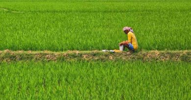 वर्ष 2029-30 तक के कृषि और ग्रीन बजट की तैयारी शुरू