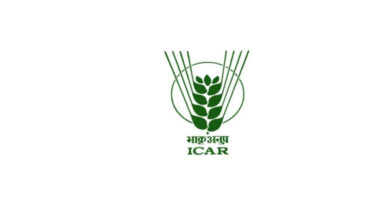 ICAR वैज्ञानिकों की बड़ी उपलब्धि, रोग प्रतिरोधी और जलवायु अनुकूल अरहर की किस्में विकसित करने में मिलेगी मदद