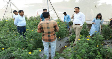 झाबुआ कलेक्टर ने शेडनेट हाउस एवं मिश्रित फसल का किया निरीक्षण