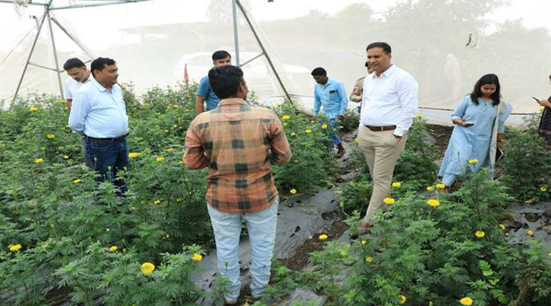 झाबुआ कलेक्टर ने शेडनेट हाउस एवं मिश्रित फसल का किया निरीक्षण