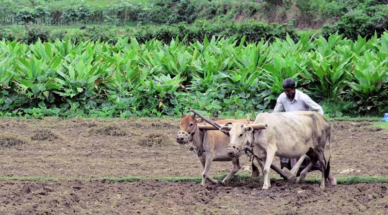 सतत कृषि को बढ़ावा देने की केंद्र की मुहिम के सकारात्मक परिणाम, 26.18 करोड़ मृदा स्वास्थ्य कार्ड जारी