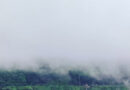 Monsoon Update: देशभर में बारिश का दौर जारी, असम-मेघालय और बंगाल में बेहद भारी बारिश का खतरा; IMD ने दी बड़ी चेतावनी  