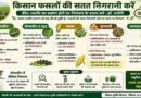 नीमच : किसानों को फसलों की सतत निगरानी की सलाह