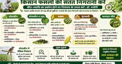 नीमच : किसानों को फसलों की सतत निगरानी की सलाह