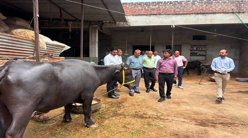 नीमच : डेयरी प्लस इकाई का जिला पंचायत सीईओ ने किया निरीक्षण