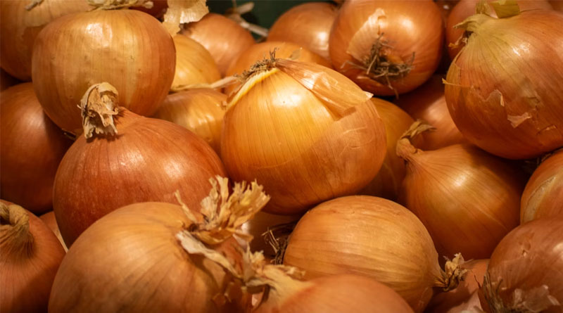 MP Onion Rate: मध्यप्रदेश में ₹200 से ₹2,626 प्रति क्विंटल बिकी प्याज, देखें आज का ताजा मंडी रेट